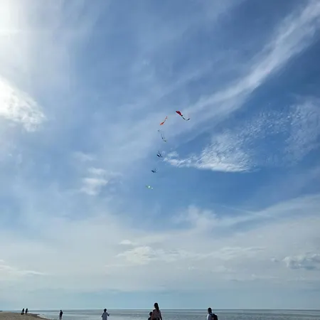 Morska Cisza * Pleśna