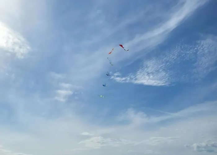 Morska Cisza * Pleśna